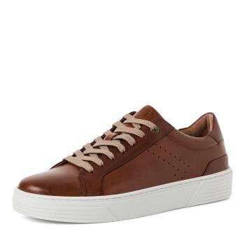 Marco Tozzi Herren Sneaker Echtleder